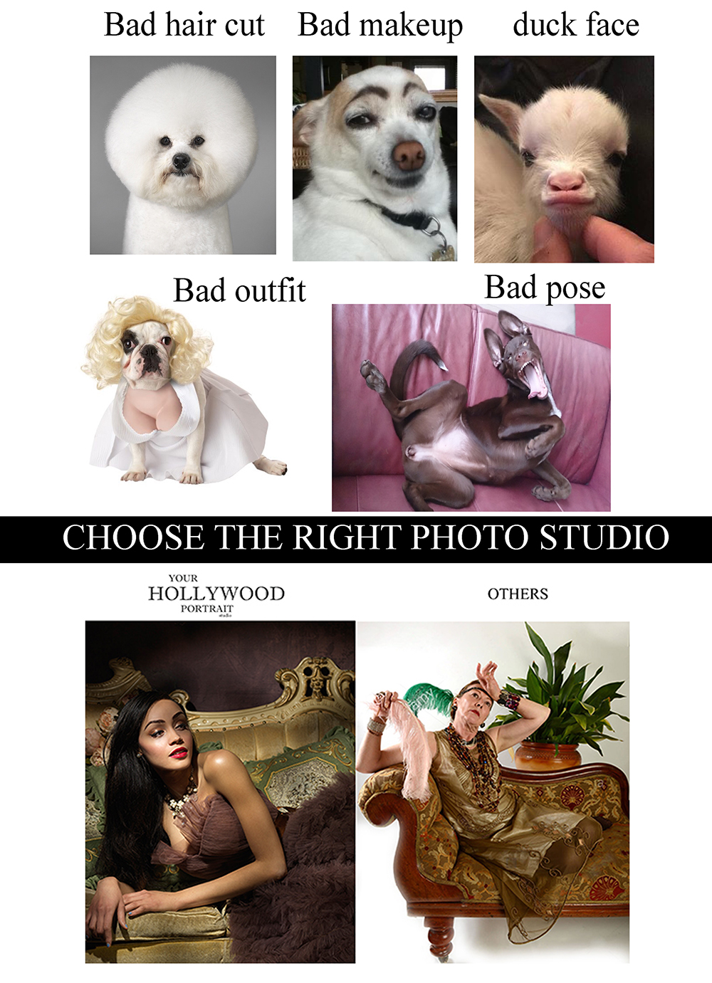 Choose your studio